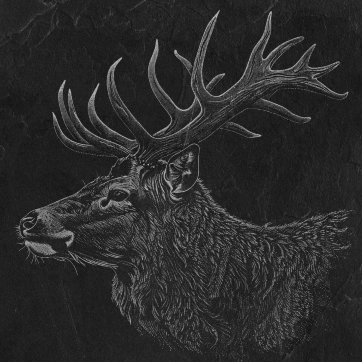 Stag Profile