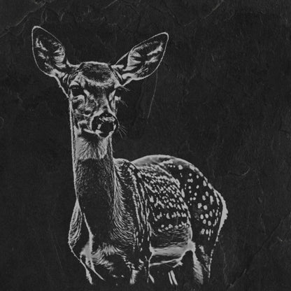 Native Wildlife Pack (set of 4)