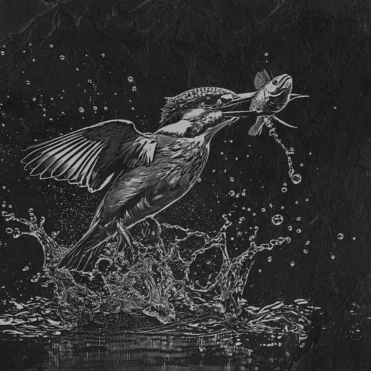 Kingfisher