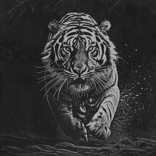 Running Tiger